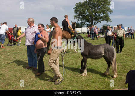 Les voyageurs de partout au pays de l'Ouest et au-delà de la vente et achat de chevaux à l'ancienne et des moutons (Priddy annuel horse) juste dans le Somerset, Angleterre. Banque D'Images