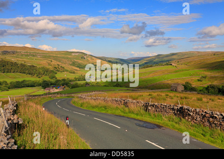 Swaledale et Buttertubs Muker de Road, North Yorkshire, Yorkshire Dales National Park, England, UK. Banque D'Images