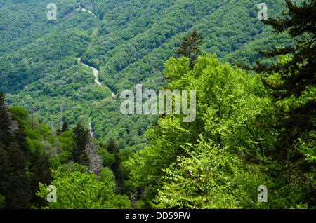 Route qui serpente à travers le parc national des Great Smoky Mountains Banque D'Images