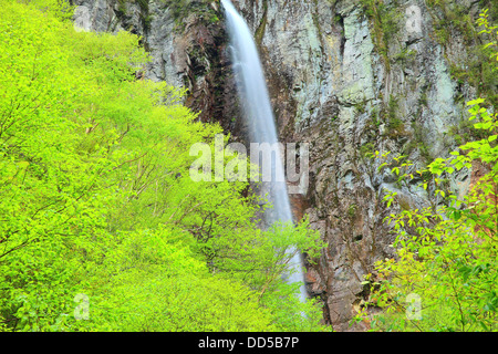 Yonago falls, dans la préfecture de Nagano Banque D'Images