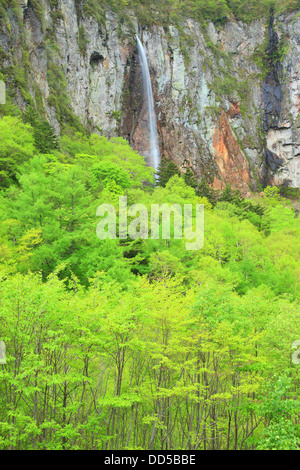 Yonago falls, dans la préfecture de Nagano Banque D'Images