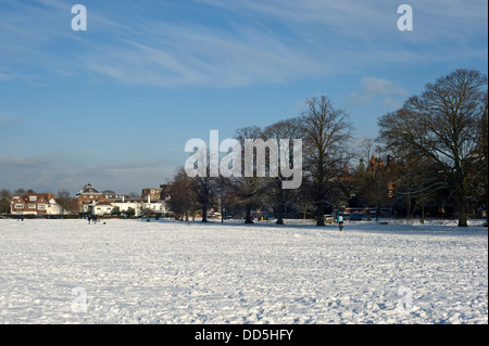 Wimbledon, Londres, Angleterre, le 21 janvier 2013 : La section commune du sud de Wimbledon Common lors d'une froide journée claire, recouvert de neige. Banque D'Images