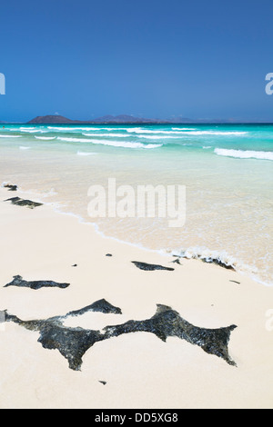 Playa de las Dunas de Corralejo, Fuerteventura, une plage de sable blanc parfait avec de l'eau turquoise et bleu ciel. Banque D'Images