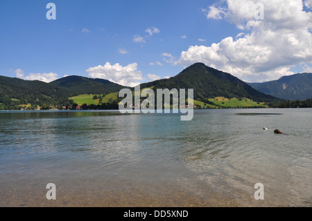 Schliersee, Haute-Bavière, Allemagne deux chiens dans l'eau Banque D'Images