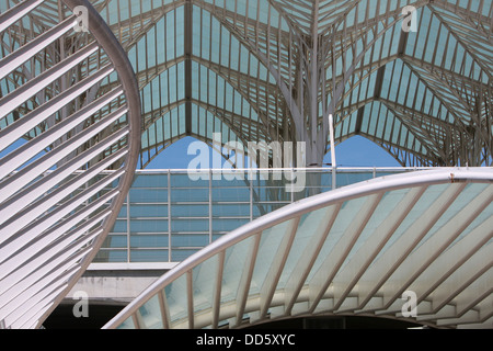 Le Portugal, Estremadura, Lisbonne, Détail de la toiture de l'Oriente gare, conçue par Santiago Calatrava. Banque D'Images