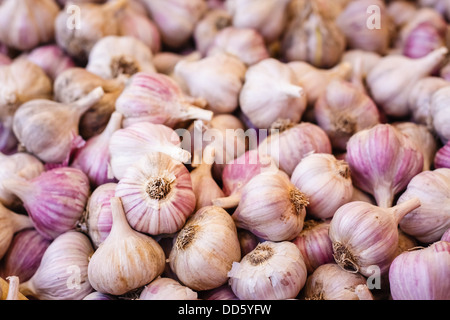 Pile l'ail sur le marché local. La récolte de l'ail blanc. Contexte Banque D'Images