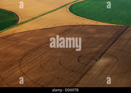 Patchwork Paysage, Croatie, Slavonie, Europe Banque D'Images