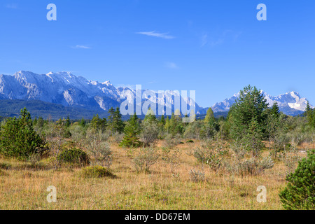 Prairies et montagnes en Alpes bavaroises, Allemagne Banque D'Images