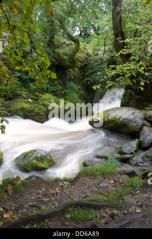 L'eau qui coule le long d'un flux vers une chute d'eau dans le Lake District. Banque D'Images