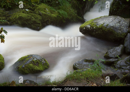 L'eau qui coule le long d'un flux vers une chute d'eau dans le Lake District. Banque D'Images