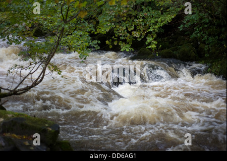 L'eau qui coule le long d'un flux vers une chute d'eau dans le Lake District. Banque D'Images