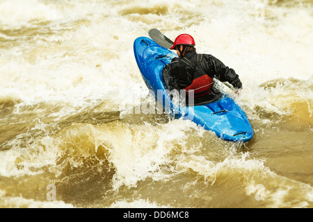 Un kayakiste dans un kayak bleu manœuvre à travers des rapides d'eau vive mousseux et barattant. La personne porte un casque rouge, une veste imperméable noire et un gilet de sauvetage rouge, pagayant activement avec un noir Banque D'Images