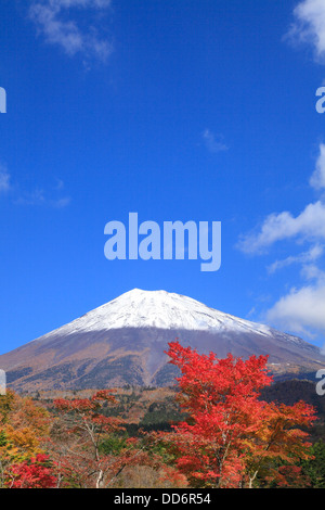 Le Mont Fuji et les feuilles d'automne, préfecture de Shizuoka Banque D'Images