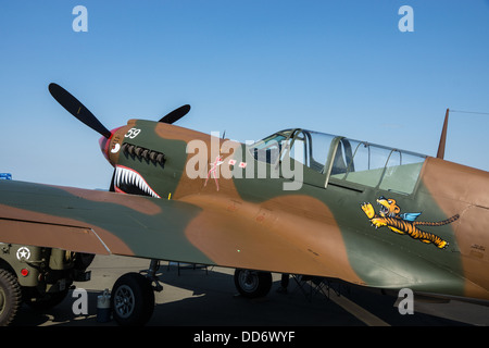 8/18/2013, Santa Rosa, Californie. Un Curtis P-40N-5 Kittyhawk sur avion de guerre affichage à Pacific Coast Air Museum de l'aéronautique. Banque D'Images