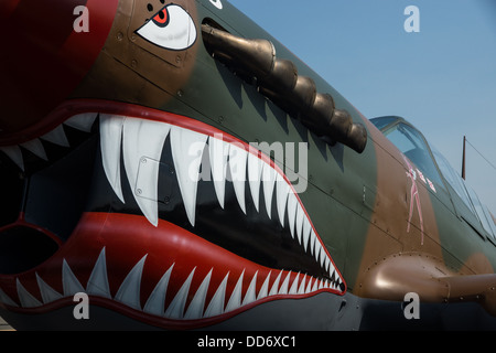 8/18/2013, Santa Rosa, Californie. Un Curtis P-40N-5 Kittyhawk exposées au Musée de l'air de la côte du Pacifique de l'aéronautique. Banque D'Images