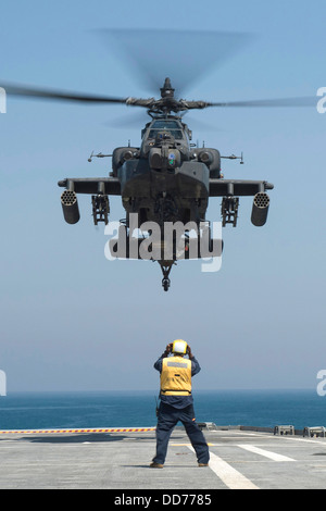 L'Armée américaine Un hélicoptère Apache AH-64D se prépare à atterrir sur l'envol de l'USS Ponce pendant l'exercice Spartan Kopis le 11 août 2013 dans le golfe Persique. Banque D'Images