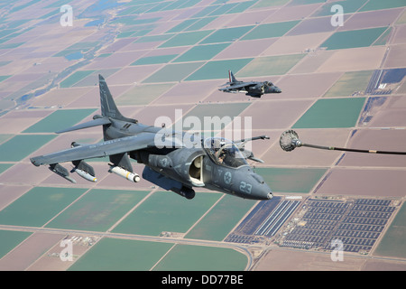 Deux US Marine Corps AV-8B Harrier avions de ravitaillement en vol pour position lors d'un exercice d'entraînement le 27 août 2013 sur l'est de la Californie. Banque D'Images