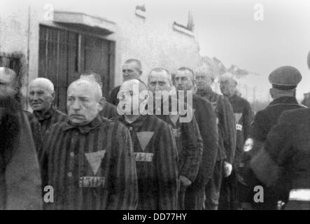 Prisonniers dans le camp de concentration de Sachsenhausen, en Allemagne, le 19 décembre 1938. Les prisonniers politiques anti-nazis inclus Banque D'Images