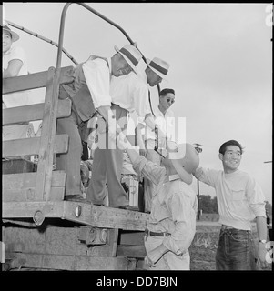 Clôture de la réinstallation, Jérôme Centre Denson, Arkansas. Les personnes évacuées sont constantl Japonais-américain . . . - - 539803 Banque D'Images