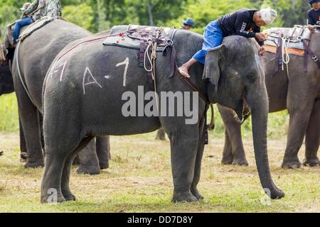 Hua Hin, Prachuap Khiri Khan, Thaïlande. Août 28, 2013. Un éléphant mahout (formateur) détend sur son éléphant aux Rois Cup tournoi de Polo de l'Éléphant de Hua Hin, Thaïlande. Le commanditaire principal du tournoi dans l'établissement Anantara Resorts et le tournoi est organisé par l'établissement Anantara Hua Hin. C'est la 12e année pour les Rois Cup tournoi de Polo de l'éléphant. Le sport de l'elephant polo a commencé au Népal en 1982. Produit de la Kings Cup va à aider à réhabiliter les éléphants sauvés des abus. Credit : ZUMA Press, Inc./Alamy Live News Banque D'Images