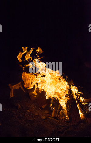 Flamme de feu de camp la nuit. Banque D'Images