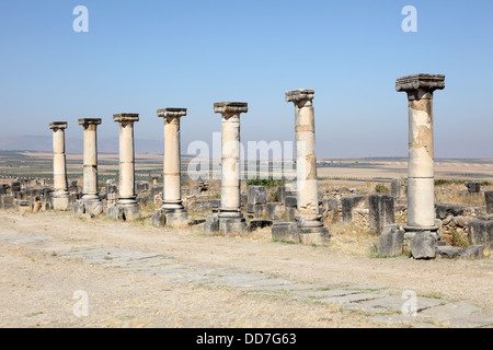 Les ruines romaines de Volubilis - au Maroc, l'Afrique du Nord Banque D'Images
