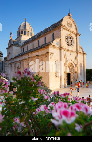 Sibenik Croatie, cathédrale de st. James avec des fleurs en face Banque D'Images