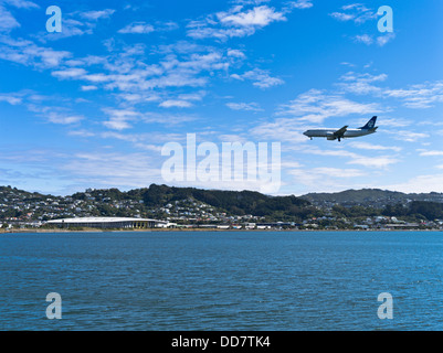 dh Evans Bay WELLINGTON NOUVELLE-ZÉLANDE Air Boeing Nouvelle-Zélande 737-33A avion passager arrivant à l'aéroport de Wellington avion port avion Banque D'Images