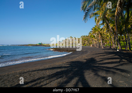 Punaluu Black Sand Beach, île d'Hawaï Banque D'Images