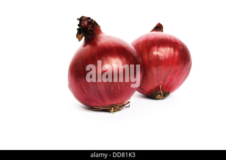 Oignons rouge isolé sur fond blanc. Banque D'Images