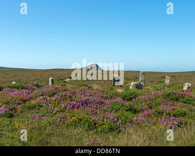 'Neuf' Maidens Bronze Age stone circle à Boskednan, près de Penzance, Cornwall, Angleterre Banque D'Images