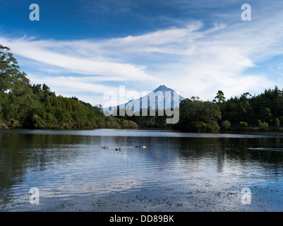 dh Lac Mangamahoe TARANAKI NOUVELLE-ZÉLANDE Mont Egmont Taranaki canards dans les montagnes du lac montagne Banque D'Images