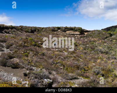 Dh Parc national de Tongariro WAIRERE STREAM Femme Nouvelle-zélande taranaki randonneur falls piste de marche à pied du plateau central de l'Île du Nord Banque D'Images