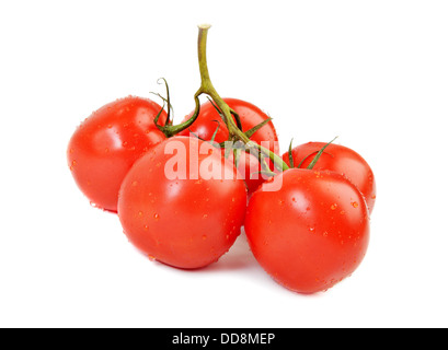 Branche de tomates fraîches isolated over white Banque D'Images