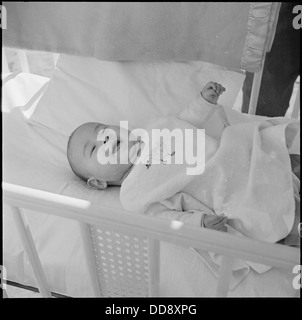 Une photographie du Granada Relocation Center à Amache, Colorado, montrant le plus jeune des UNOS, une famille qui a été relocalisée pendant la seconde Guerre mondiale Banque D'Images