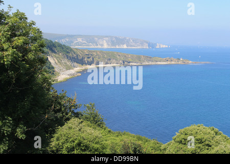 Vue de la côte vers le nord depuis les falaises de craie, tête de Durlston Dorset, UK, Swanage vers repris de la South West Coast Path Banque D'Images