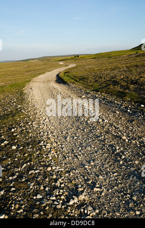 Les pistes menant à travers la lande de pierre dans Wensleydale dans le Yorkshire Dales Banque D'Images
