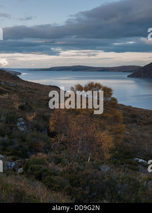 Une vue vers la péninsule de Scoraig partout Peu Loch Broom, Dundonnell, North West Highlands, Ecosse, Royaume-Uni Banque D'Images