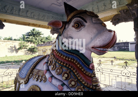 Figure sculptée Nandi la divinité gardien-porte de Kailasa, représentée comme un taureau dans la cour du temple Ekambarreswalar ou du temple hindou Ekambaranathar dédié à la divinité Shiva, à Kanchipuram ou Kanchi dans l'État du Tamil Nadu Sud de l'Inde Banque D'Images