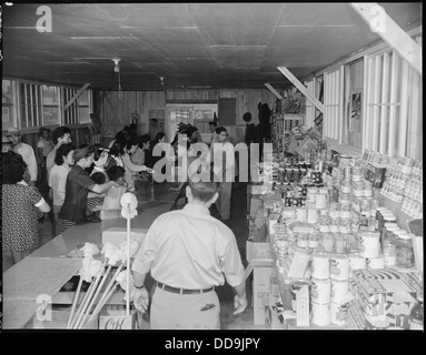 L'intérieur du magasin coopératif dans le bloc 8 du Jerome Relocation Center, Denson, Arkansas, mettant en valeur les efforts de la communauté pour fournir les biens nécessaires pendant leur internement pendant la première Guerre mondiale Banque D'Images