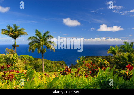 Vue sur l'océan depuis le jardin d'Eden, Maui, Hawaii Banque D'Images