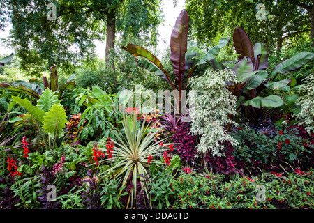 Les jardins tropicaux de St James's Park, Londres Banque D'Images