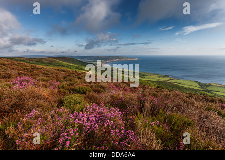 Ravenscar North York Moors en regardant robin hoods bay. Banque D'Images