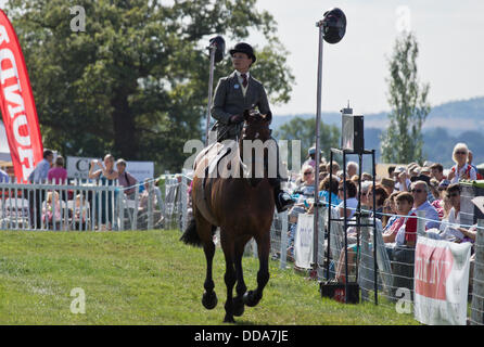 Weedon, España. Août 29, 2013. Comté de Bucks Show. Une dame s'assit sur le côté sur son cheval. © Scott Carruthers/Alamy Banque D'Images