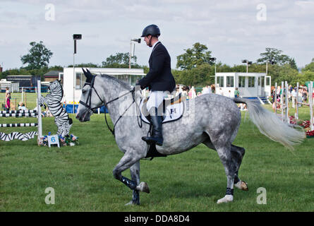 Weedon, España.Bucks Comté Show. Un homme rider prépare à sauter de son cheval. © Scott Carruthers/Alamy Banque D'Images