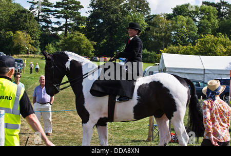 Weedon, España.Bucks Comté Show. Une jolie dame s'assit sur le côté sur son cheval. © Scott Carruthers/Alamy Banque D'Images