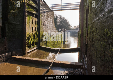 Vue du bas de l'écluse par drainées portes ouvertes à l'Est - cinq écluses Montée fermée pour rénovation, Leeds Liverpool Canal, Bingley, England, UK Banque D'Images