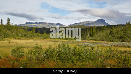 Bitihorn et Skyrifjellet Beitostollen montagnes de près dans le parc national de Jotunheimen Norvège Banque D'Images