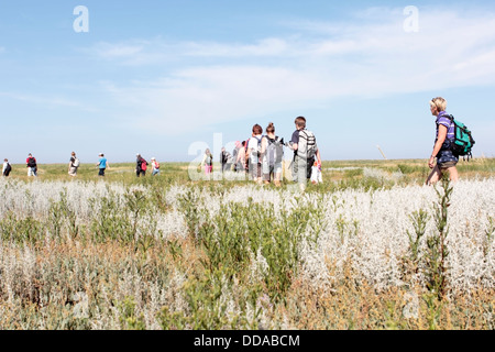 Les randonneurs dans les dunes de l'île de Griend, Pays-Bas Banque D'Images