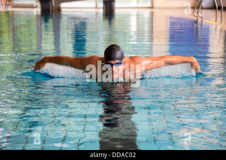 L'homme nage style papillon dans la piscine publique couverte Banque D'Images